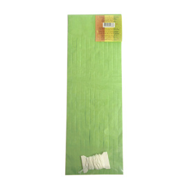 Праздничная гирлянда Тассел зеленая 3м 16 листов